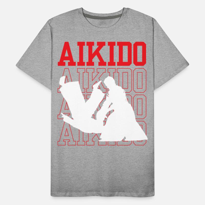Aikido Martial Arts Training Fighter Lover