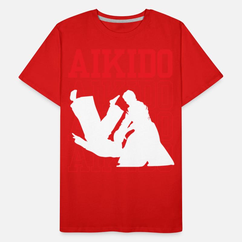 Aikido Martial Arts Training Fighter Lover