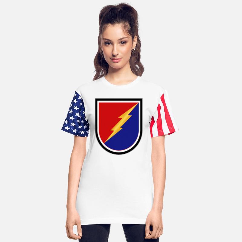 Army Flash 2nd Infantry Brigade Combat Team Airbor