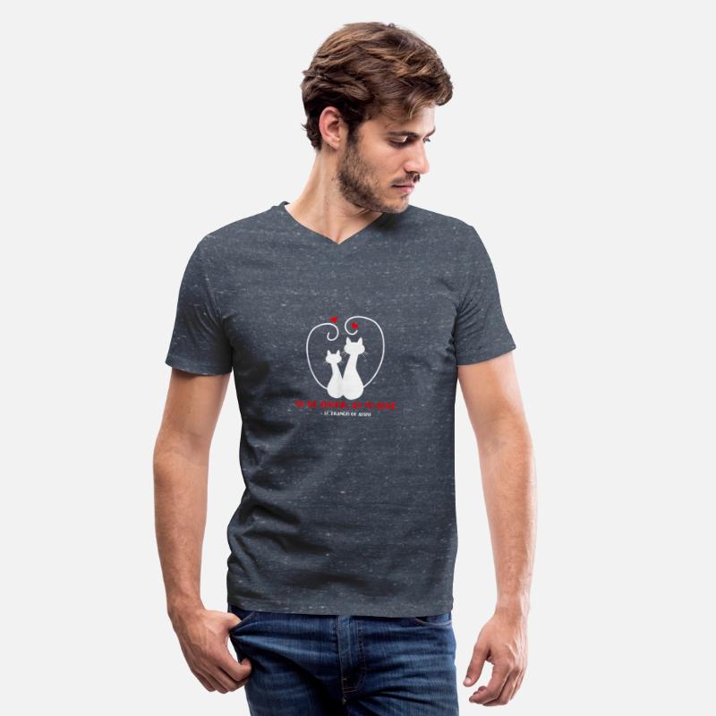 St. Francis of Assisi Patron Saint of Animals Cats