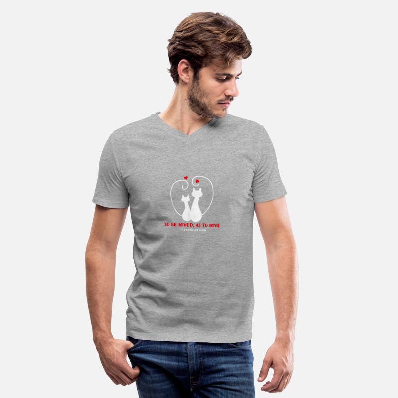 St. Francis of Assisi Patron Saint of Animals Cats