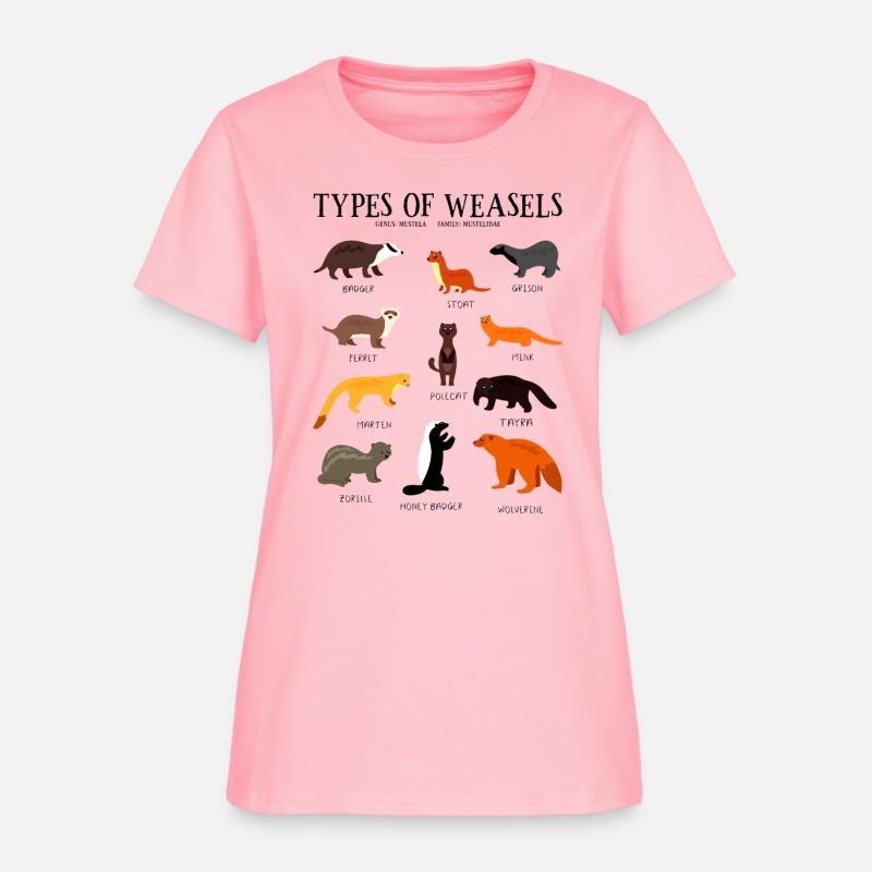 Types of Weasels for Weasels and Animals Lover